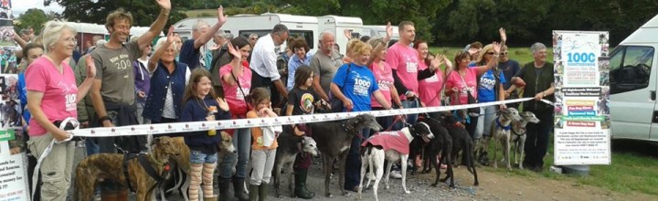 1000 Sighthounds Charity Walk and Fun Dog Show September 2013