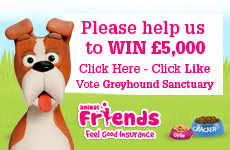 Help Us To Win £5,000 from Animal Friends