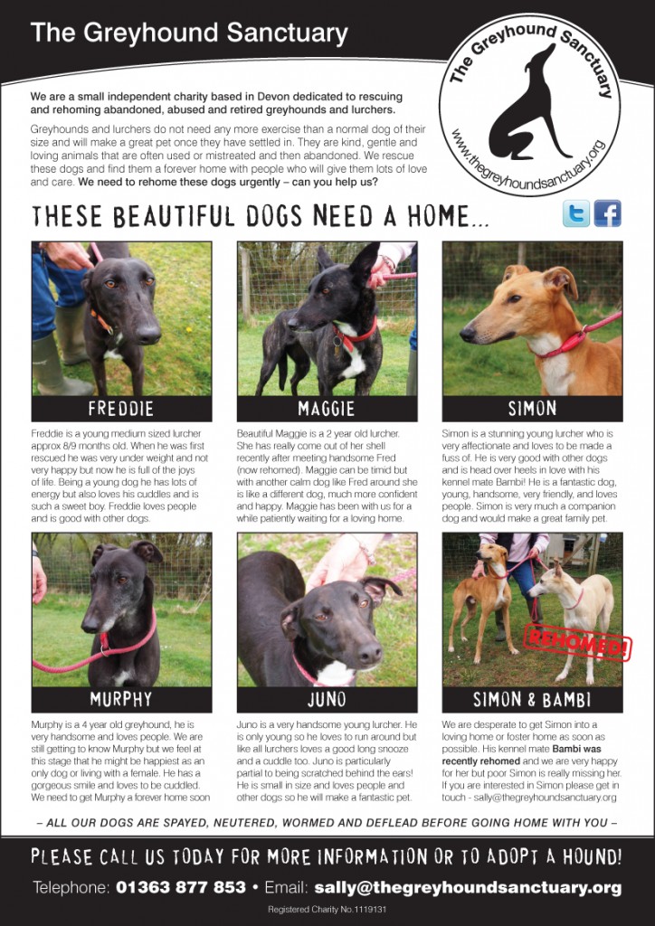 Greyhound-Sanctuary-Adopt-Poster-June-2013
