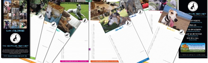 Greyhound Sanctaury 2014 Calendars – Buy Here!